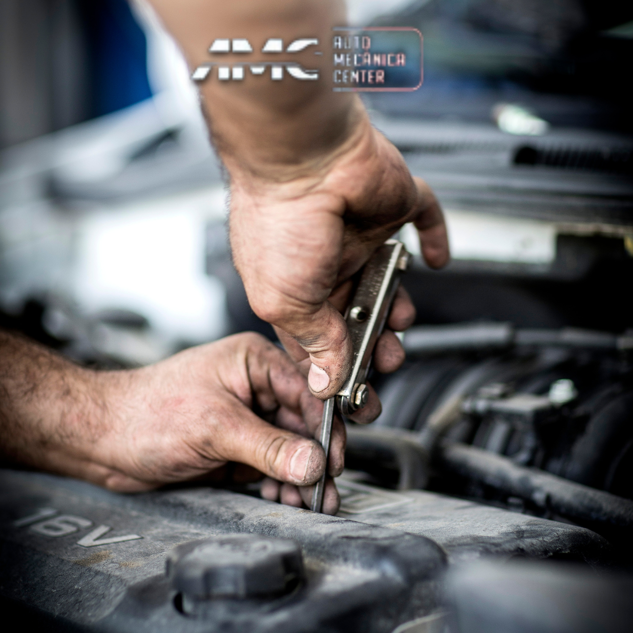 Design sem nome (43)